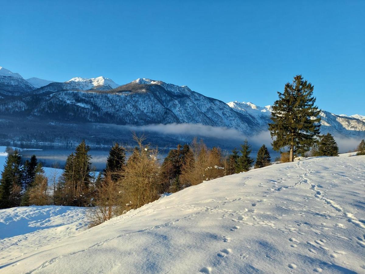 Ferienwohnung Apartmaji Vesna Bohinj Exterior foto