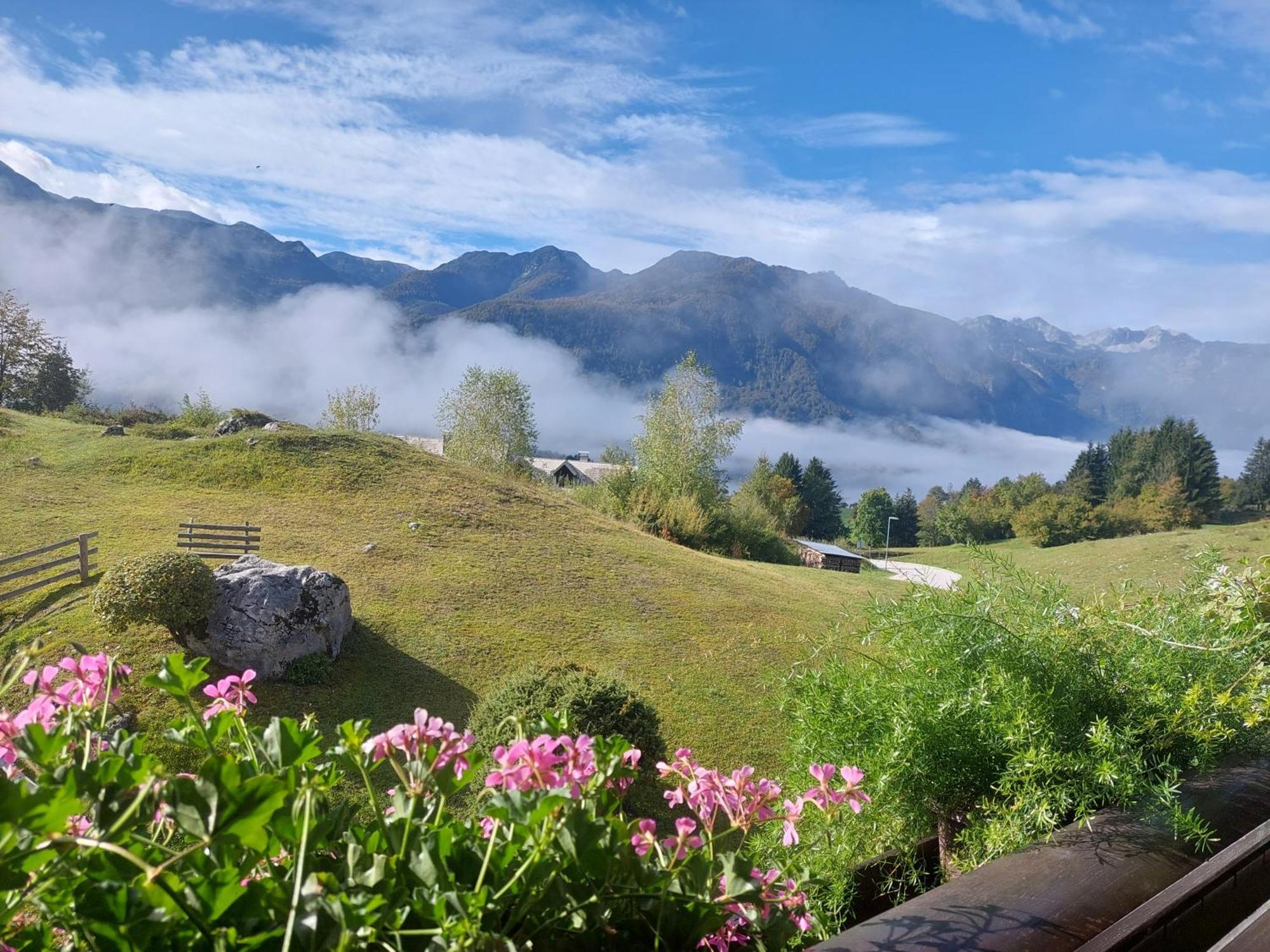 Ferienwohnung Apartmaji Vesna Bohinj Exterior foto